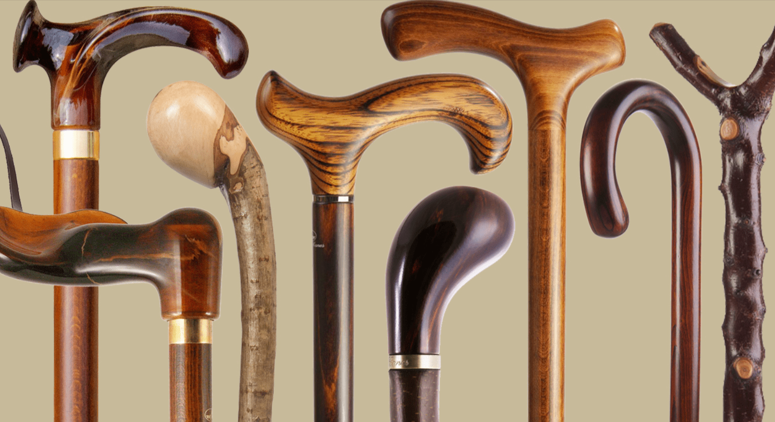 Complete Your Trek: Walking Canes and More for Daily Adventures